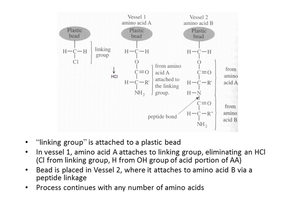 “linking group” is attached to a plastic bead In vessel 1, amino acid A